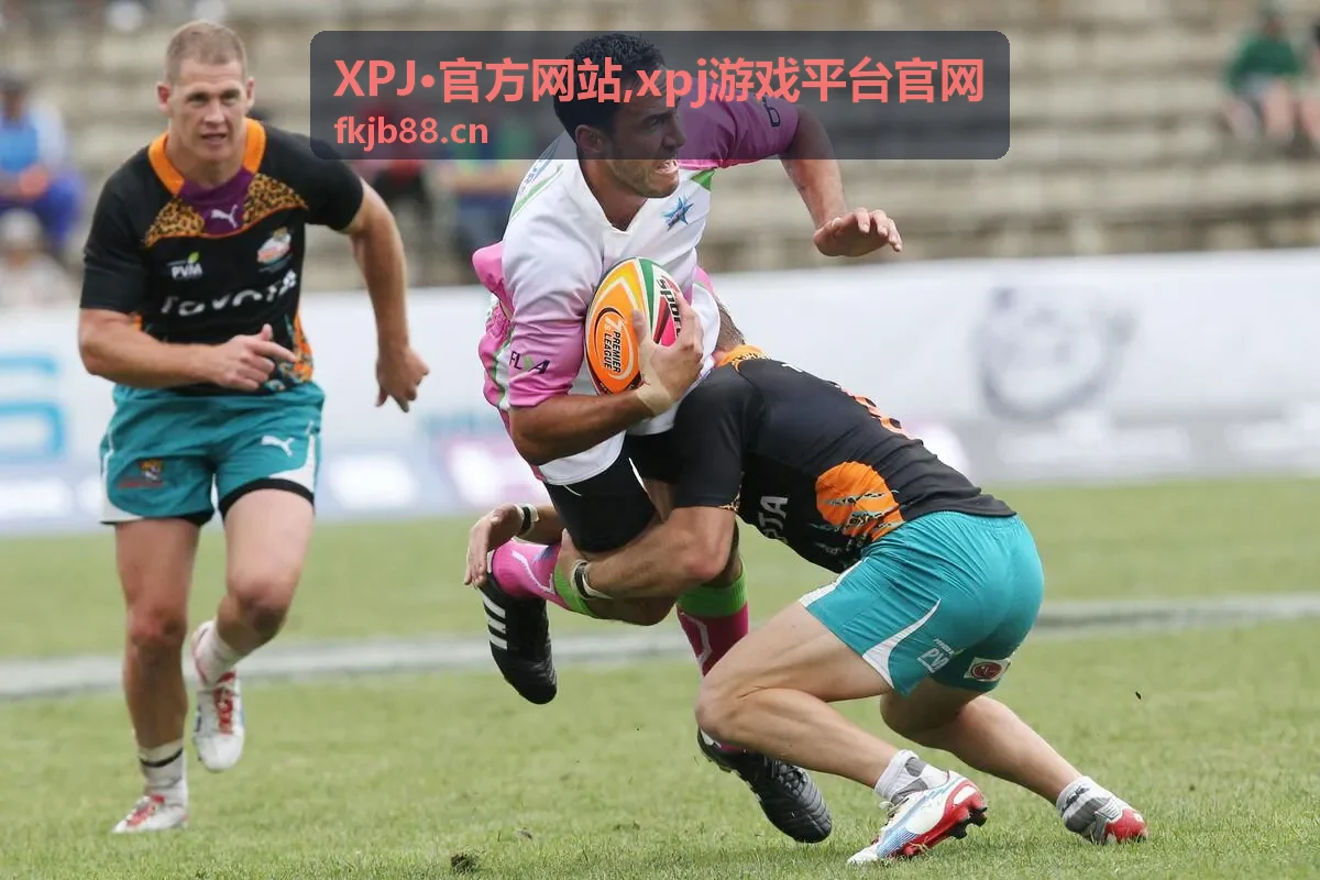 XPJ·官方网站平台资讯封面图，展示官网入口与说明界面